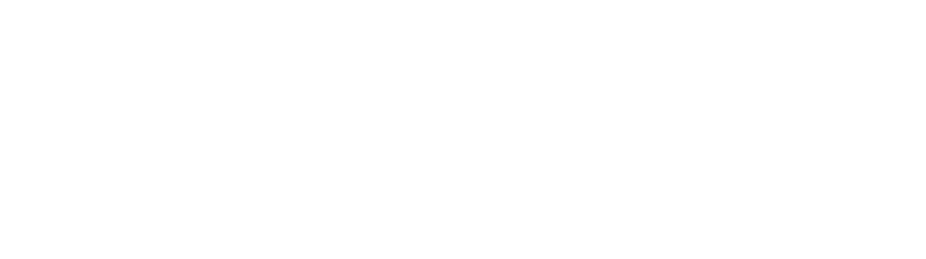 pyreneexplorer.com